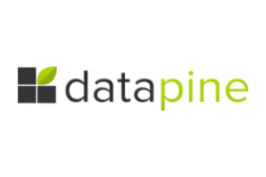 datapine-logo