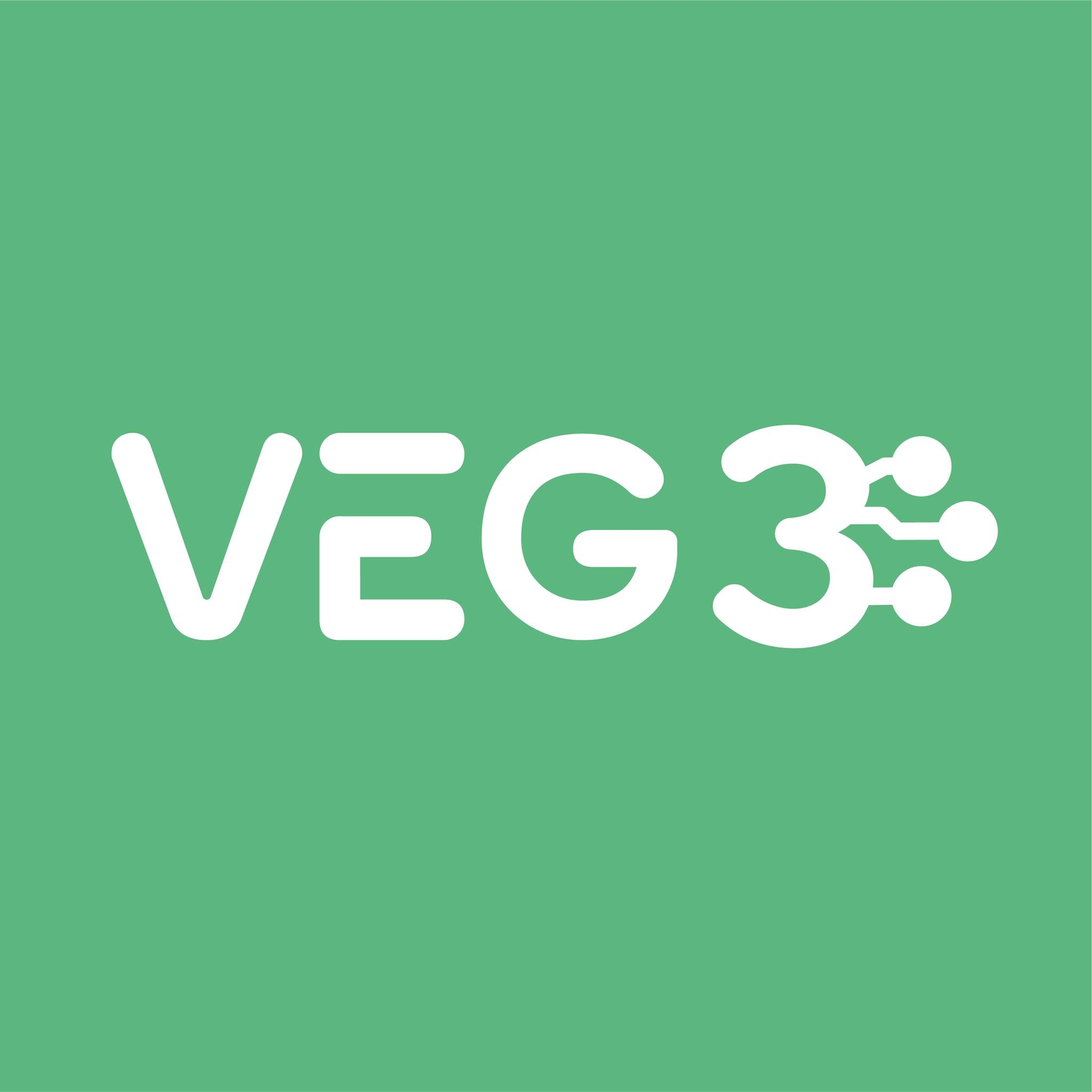 veg3_icon